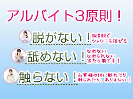 一切、風俗要素はありません!