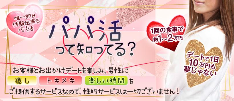 ぱぱ活カレッジの求人