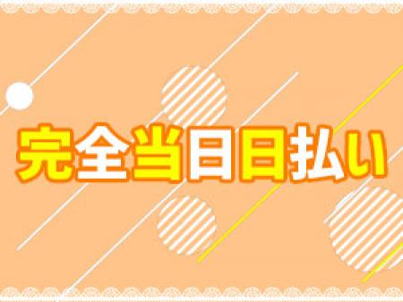 完全日払い制