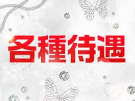 完全日払い制!