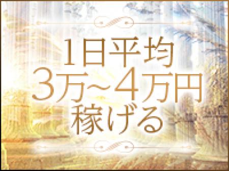 オプションがなんとフルバック!