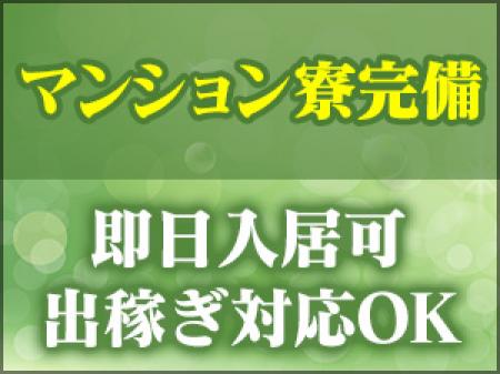 即日入居可!マンション寮完備