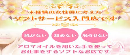 未経験でも安心です