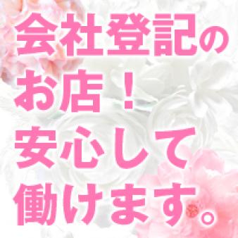 法人会社です。