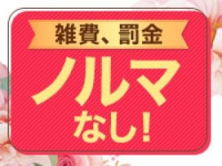 一切ないんです!