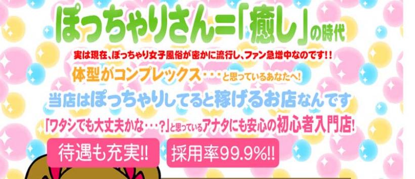 ドキドキの求人