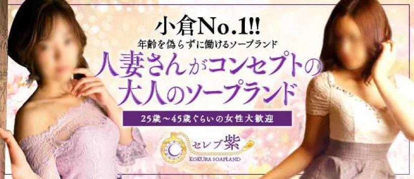 セレブ紫の求人
