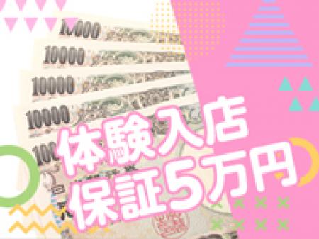 超高額保証!