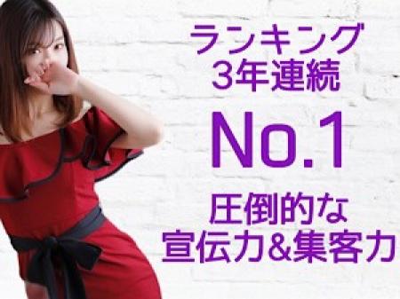未経験でも安心!エルモにお任せ!(((o(*゚▽゚*)o)))