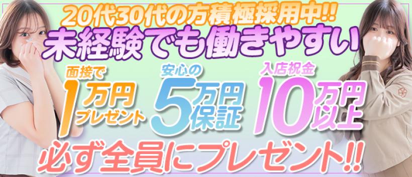 ELUMO(エルモ)の求人