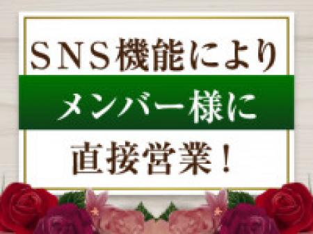 会員数54,000人直接アプローチ