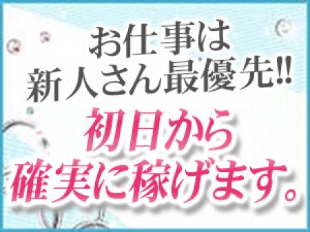 多くの会員数を誇る優良店です!