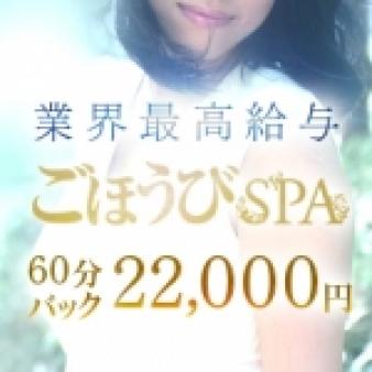 コースバックのみで