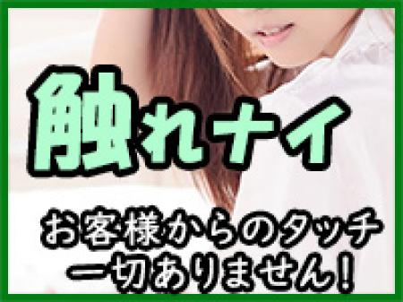 触られない!