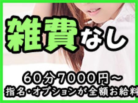 雑費引きがなし!