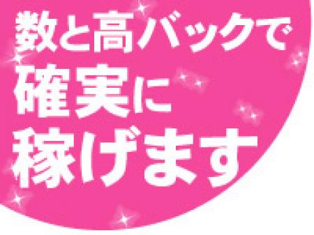 数と高バックで確実に稼げます!!