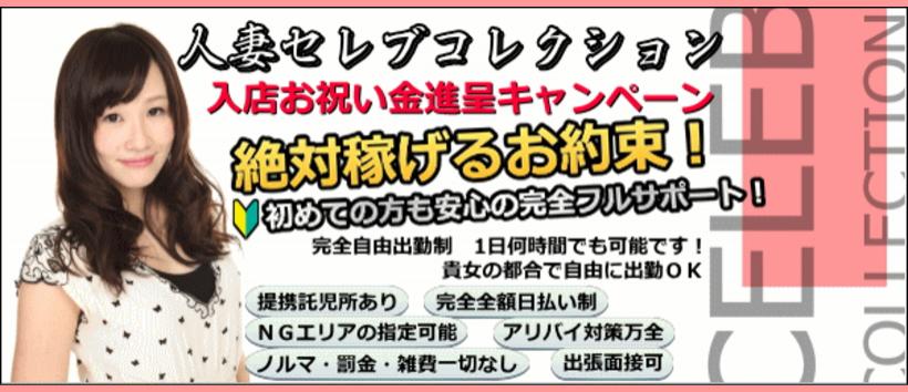 人妻セレブコレクションの求人