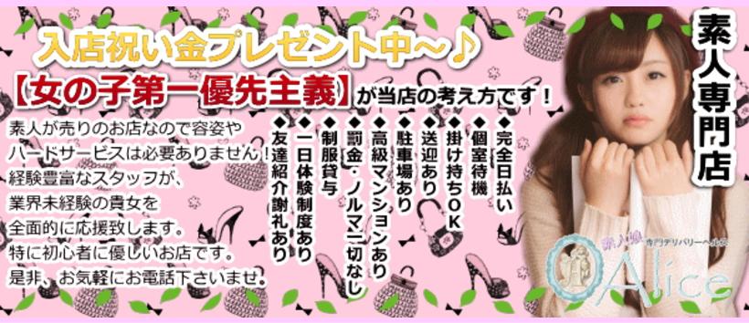 アリスの求人