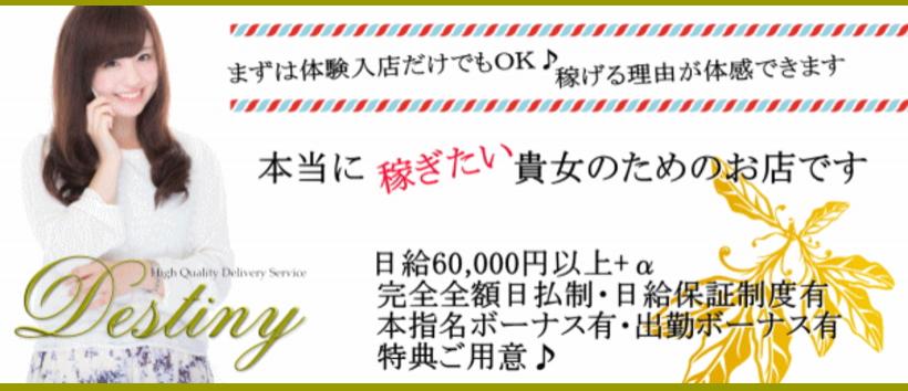 Destinyの求人