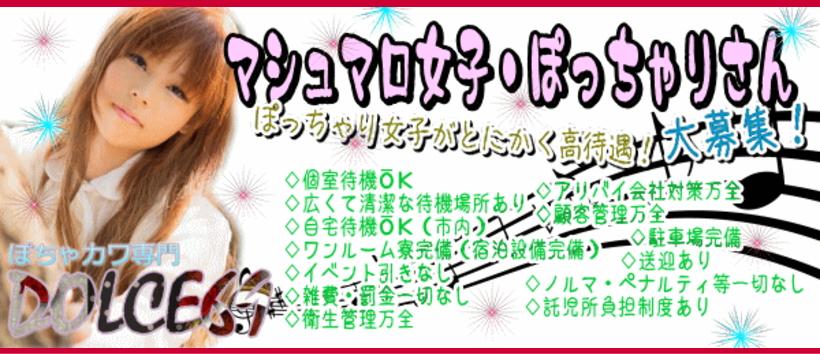 ぽちゃカワ専門 ドルチェ69の求人