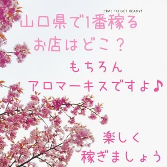 山口県で1番稼げます