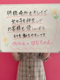 はなちゃん