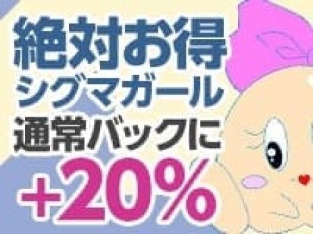 シグマガール♪
