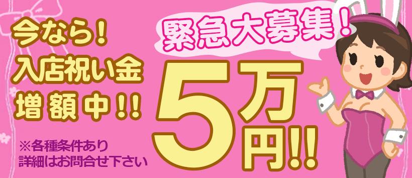 ぽちゃっとランデブーの求人