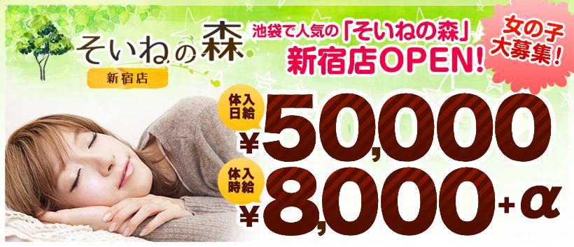 そいねの森 新宿店の求人