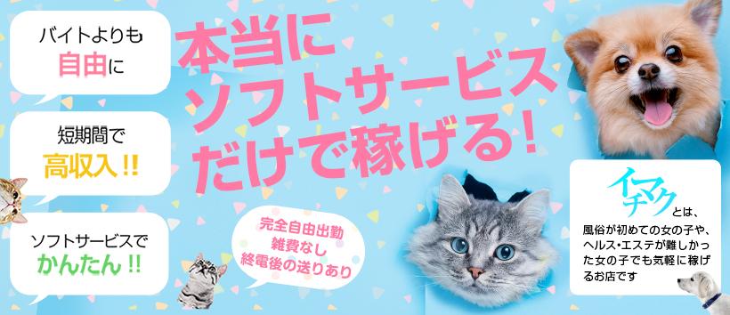 今から乳首を犯しにいってもいいですか?大阪店の求人