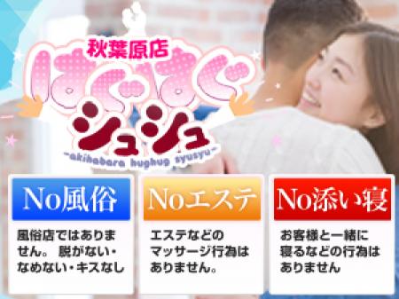 お仕事はNo風俗!Noエステ!No添い寝!
