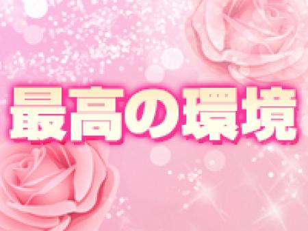最高の環境で働けます