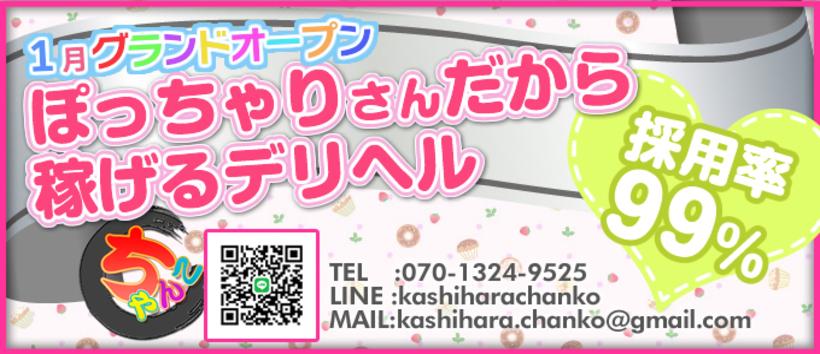 奈良橿原大和高田ちゃんこの求人