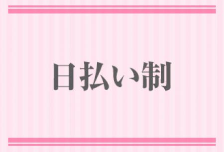 日払い制