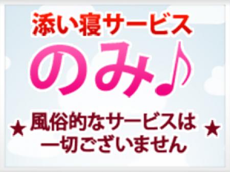 ねむり姫は、添い寝以外の事は一切ありません!