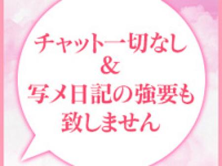 チャット、写メ強要なし