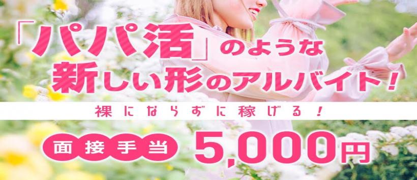 ぷち恋の求人