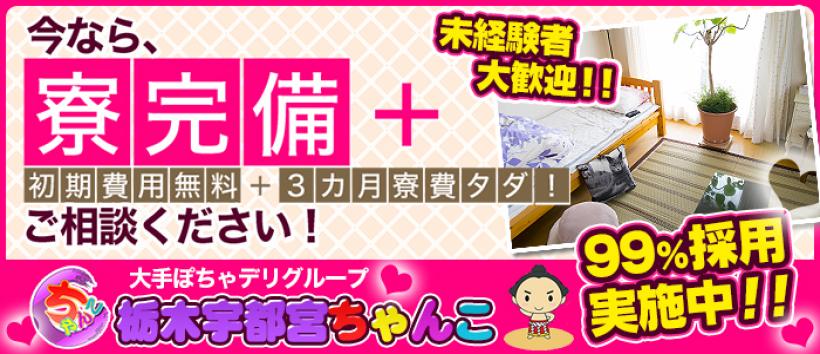栃木宇都宮ちゃんこの求人