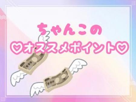 おすすめポイント!!