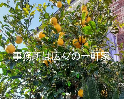 事務所は素敵な一軒家