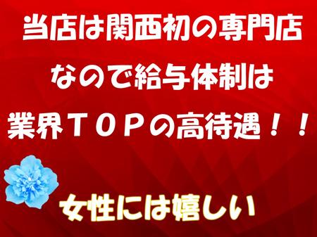 ~体験入店から貴女を全力でバックアップいたします~