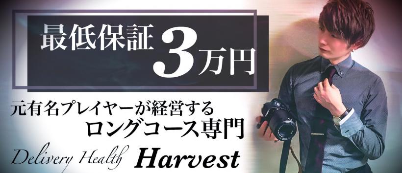 Harvestの求人