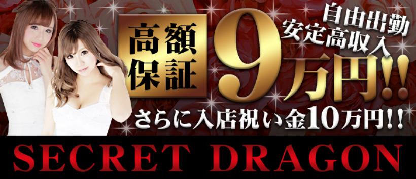 シークレットドラゴンの求人