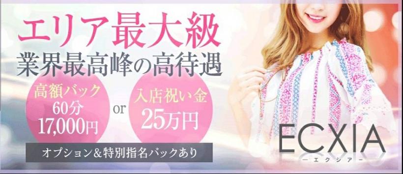 ECXIA品川の求人