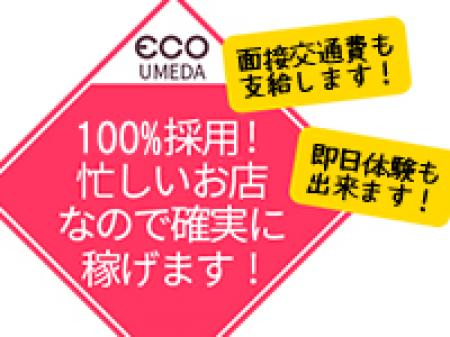 100%採用