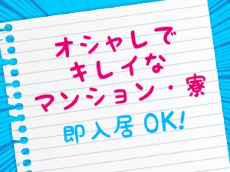 スグに働きたい方は☆彡