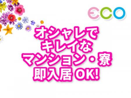 お気軽に質問してください☆彡