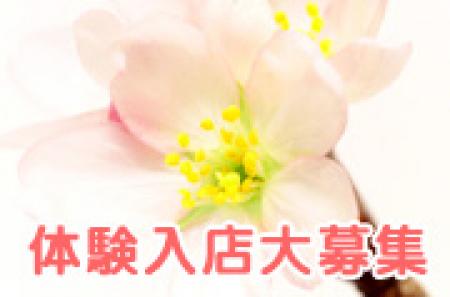 体験入店可能
