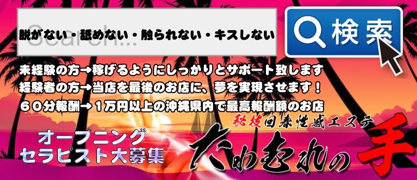 たわむれの手の求人