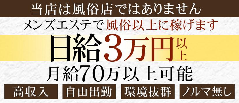 Stellaの求人